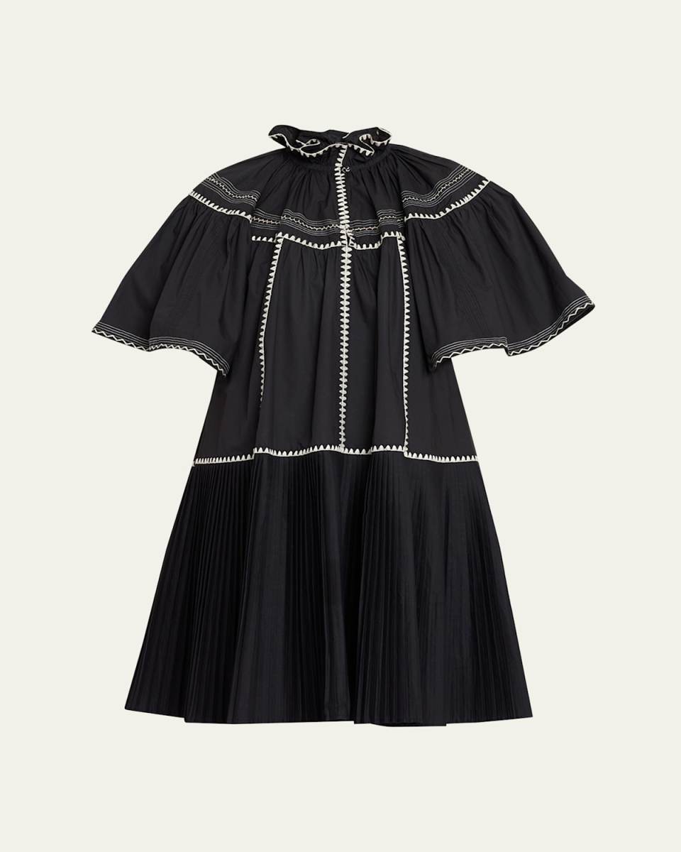 Desi Embroidered Pleated-Skirt Mini Dress
